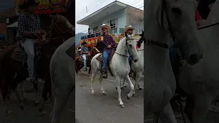 Desfile de cavaleiros em Ibitiura de Minas #minasgerais #horse