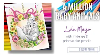 Colour Along | A Million Baby Animals by Lulu Mayo