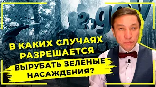 В каких случаях разрешается вырубать зелёные насаждения?