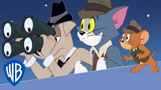 Tom y Jerry en Latino | Búsqueda de espías | WB Kids