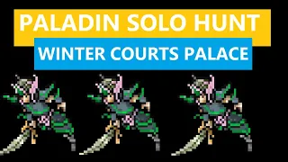 Paladin Solo Hunt Winter Courts Palace Good Exp and Good Profit 650k in 30min