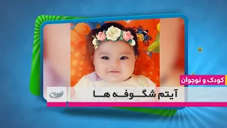 شگوفه ها – کودک و نوجوان 27.7.1399