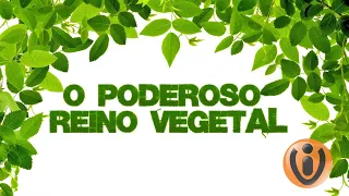 O PODEROSO REINO VEGETAL