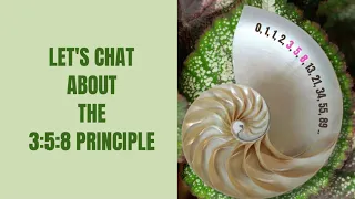 Let s Chat About the 3:5:8 Principle