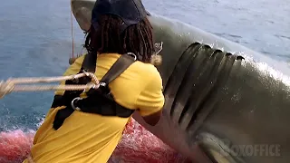 La scène du piège à requin | Les Dents de la mer 4 : La Revanche | Extrait VF