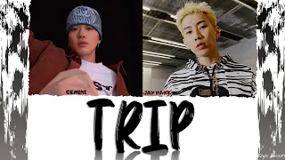 GEMINI, JAY PARK - "TRIP" (Color Coded Lyrics Eng/Rom/Han/가사)