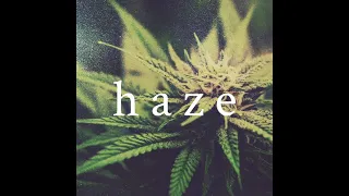 【FREE FOR PROFIT】舐達麻 × GREEN ASSASSIN DOLLAR type beat “haze”