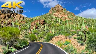 2 Hours of Scenic Driving Through Saguaro National Park Arizona 4K Tucson Mountain Park