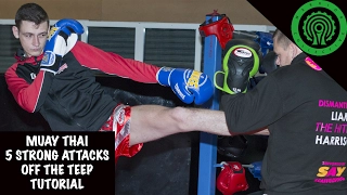 Muay Thai 5 Strong Attacks off the Teep Tutorial