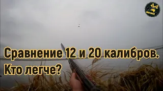 Что лучше 20 калибр или 12 для охоты. Сраниваем массу и габариты.