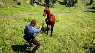 ARTHUR CATCH A BEAUTIFUL CLAVER HORSE - RDR2 | GAMEPLAY