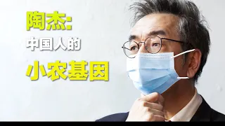 陶杰（上）：中国人的小农基因|观点