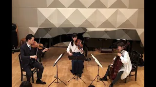 Beethoven  String Trio op.3 E flat major -1.Allegro con brio