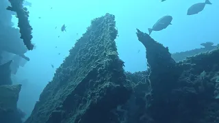 Deep Shipwreck Spearfishing & a HUGE Bull Shark Jump Scare