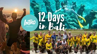 Intro Travel 12 Day Bali Trip | Vlog