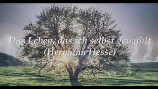 Hermann Hesse: Das Leben, das ich selbst gewählt