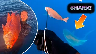 SPEARFISHING THE MOST DANGEROUS WRECK - BULLSHARKS EVERYWHERE