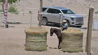 EXCA 2024 05 12 El Paso Sheriff's Posse Ranch Versatility #1 Celeste h Wright on Gunner