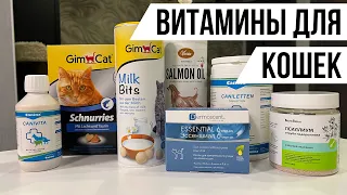 Витамины для кошек. Рекомендации питомника мейн-кунов.