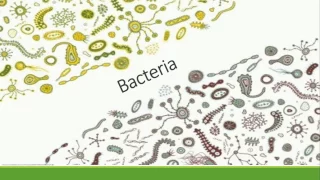 Bacteria, Viruses, and Fungi Oh My!