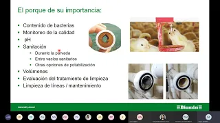 BIENESTAR ALIANSA - Importancia del agua en la producción de aves de postura