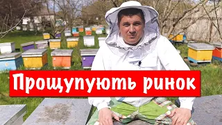 Прощупують ринок Меду 💰 Розвиток бджолосімей поганий 🐝