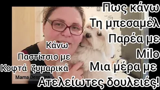 #vlog#μαγειρική!#κασεροπιτακια#καθαριότητα#routines#παστίτσιο#milo#run of the #day