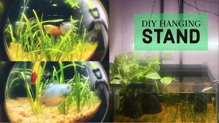 How to DIY Aquarium LED Lighting | CHEAP and EASY LED aquarium light | Efficient Plant Growing Ideas