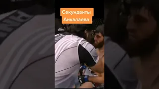 Секунданты Анкалаева🤣 Анкалаев vs Ян Блахович он как лопух бьет #shorts #анкалаев #анкалаевЯнблахови