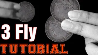 3 FLY TUTORIAL