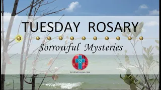 Tuesday Rosary • Sorrowful Mysteries of the Rosary 💜 August 15, 2023 VIRTUAL ROSARY - MEDITATION