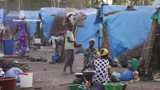 Mali, NOUVEAU MASSACRE DANS UN VILLAGE DOGON