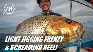 Shimano Stradic FL C3000 - Light Jigging Frenzy and screaming reel!