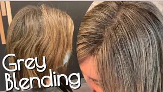 Grey Blending | Partial Foil of BABYLIGHTS |  TRANSITIONING To Grey