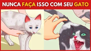 10 Coisas Que Você Nunca Deve Fazer Com Seu Gato  (Dica Animal)