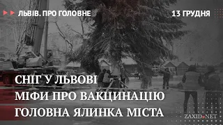 Сніг у Львові, міфи про вакцинацію, головна ялинка міста | Львів. Про головне за 13 грудня