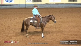 A Judges Perspective: 2016 AQHA Senior Working Cow Horse World Champion