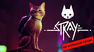 Stray (2022): небольшой обзор и мое мнение о игре