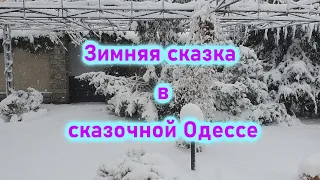 Зимняя Сказка. Одесса. Сальваторе Адамо-Падает снег. Odessa. Salvatore Adamo - Snow is Falling