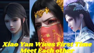 Xiao Yan wives first time meet each others Explained in Hindi Battle Through The Heavens || Novel