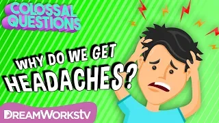 Why Do We Get Headaches? | COLOSSAL QUESTIONS