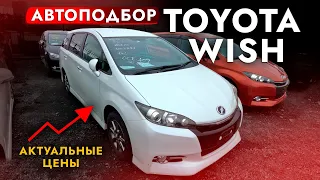 АвтоПодбор TOYOTA WISH❗ РОСТ ЦЕН. Большой обзор рынка. Выбор пока есть. Что дальше!?