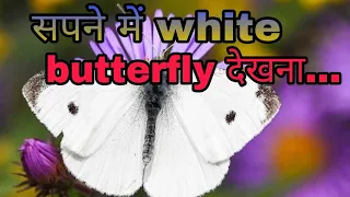 सपने में white butterfly देखना #whitebutterfly #butterflymeaning #lawofattraction #trending