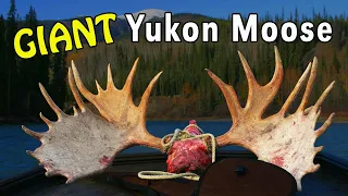 Yukon MOOSE Hunting BY BOAT! with Mike Eastman (Eastmans' Hunting TV)