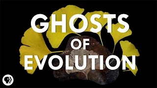 Ghosts of Evolution