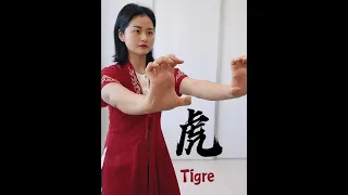 Wushu Kung Fu en Casa Día 180 Qigong 5 Elementos Tigre de Metal 五行气功