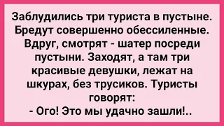 Туристы Увидели Девушек без Трусов! Сборник Свежих Смешных Жизненных Анекдотов!