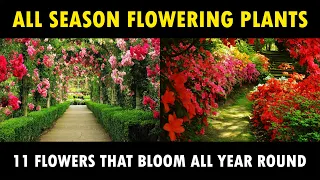 All Season Flowering Plants | Best flower Plants to Grow at Home | Gardening Flower Plants