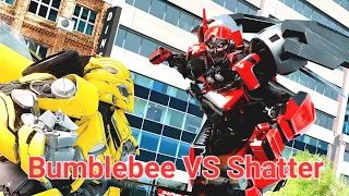 Transformers Bumblebee vs Shatter Fight Animation