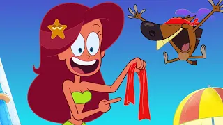 ZIG AND SHARKO | HIDE-AND-SEEK (SEASON 3) New episodes | Cartoon for kids